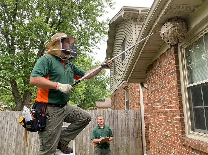 Stinging Insect and Hornet Removal in Springfield, IL